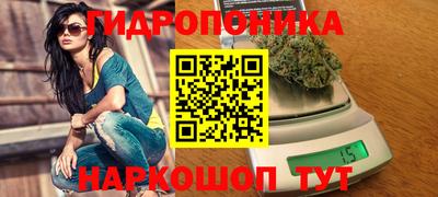 прущая мука Кимры