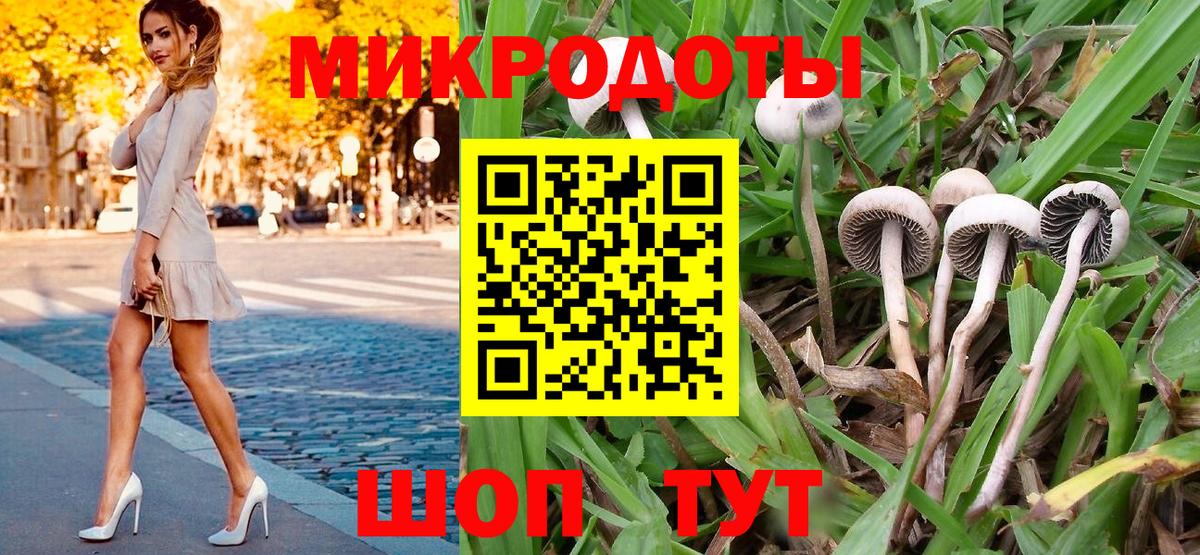 Галлюциногенные грибы Magic Shrooms Краснознаменск